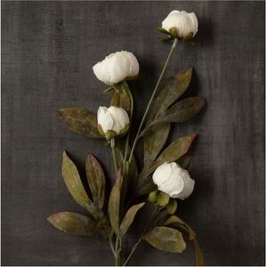 8/ NEW / Pack of 8 Cream Peony Stems by Ashland
